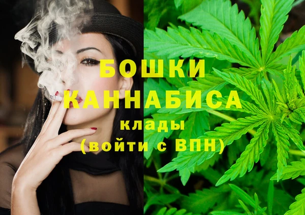 гашик Переславль-Залесский