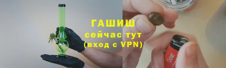 ALPHA PVP Белокуриха