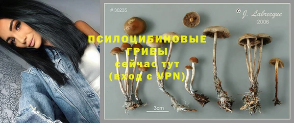 ALPHA PVP Белокуриха