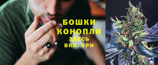 амф Беломорск