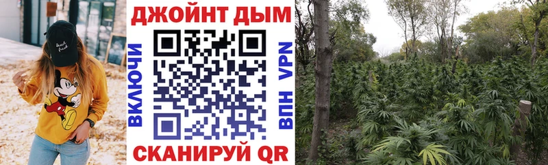 Каннабис индика даркнет сайт Волоколамск